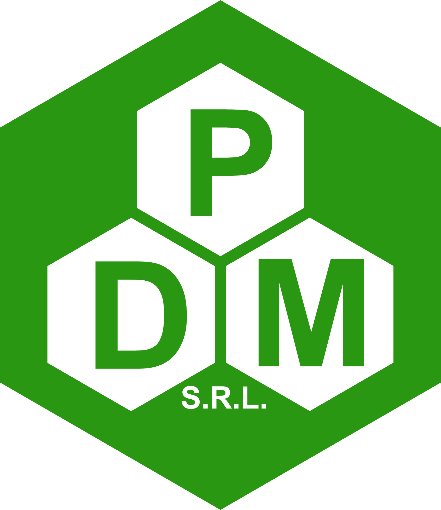 dpm-srl.com icon
