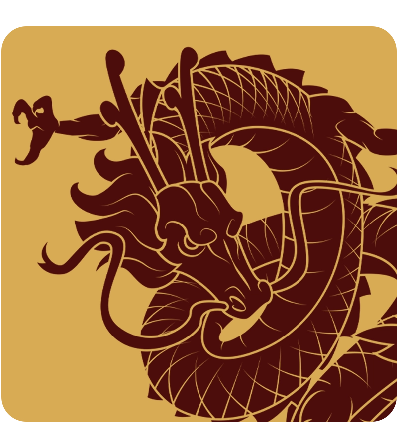dragon222only.com icon