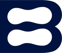 drbricman.com icon