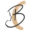 drbuglem.com icon