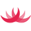 drchoo.com icon