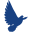 drcolbert.com icon