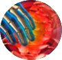drdizonbackcare.com icon