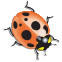 drearth.com icon