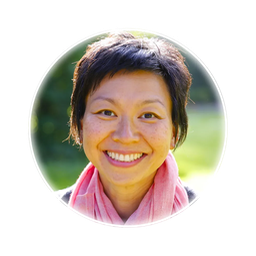 dredithubuntu.com icon