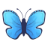 drgrace.org logo