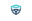 DriveSafe Solutions logo