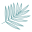 drkellymccann.com icon