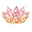 drnorthrup.com icon