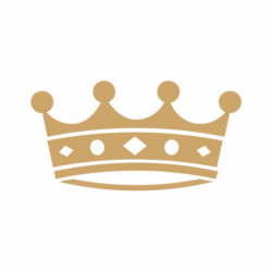 dromoland.ie icon
