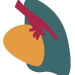 drparthivshah.com icon