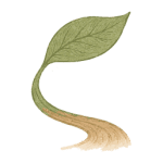 drpierrekory.com icon