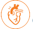drsaurabhjaiswalcardiacsurgeon.com icon