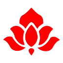 drugrehabus.org icon