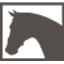 drunensruiterhuis.nl icon