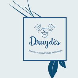 druydes.com icon
