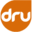 druyoga.com icon