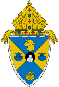 drvcvocations.com icon