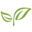 drwilsons.com icon