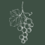 drycreekvalley.org icon