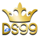 ds997.com icon