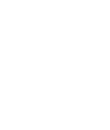 dsc-web.com icon