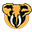 dscf.org icon