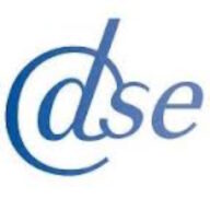 dse.nl icon