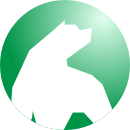 dso100.com icon