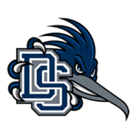 dsroadrunners.com icon
