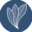 dst.ca icon