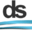 dswebsitedesign.com icon