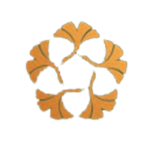 duantakarahoabinh.com icon