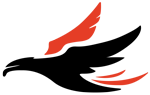 duaoferta.com icon
