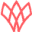 dugunbuketi.com icon