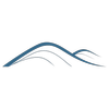 Dune Peak Partners logo