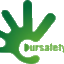 dursafety.com logo