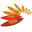 dutatv.com icon