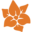 dutchgrown.pl icon