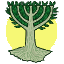 dutchjewry.org icon