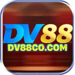 dv88co.com icon