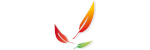 dvlog.fr icon
