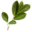 dw89.net icon