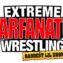 dwarfanators.com icon