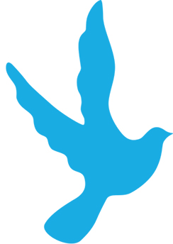dwdnsw.org.au logo