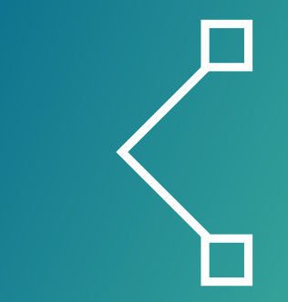 dynetng.org icon