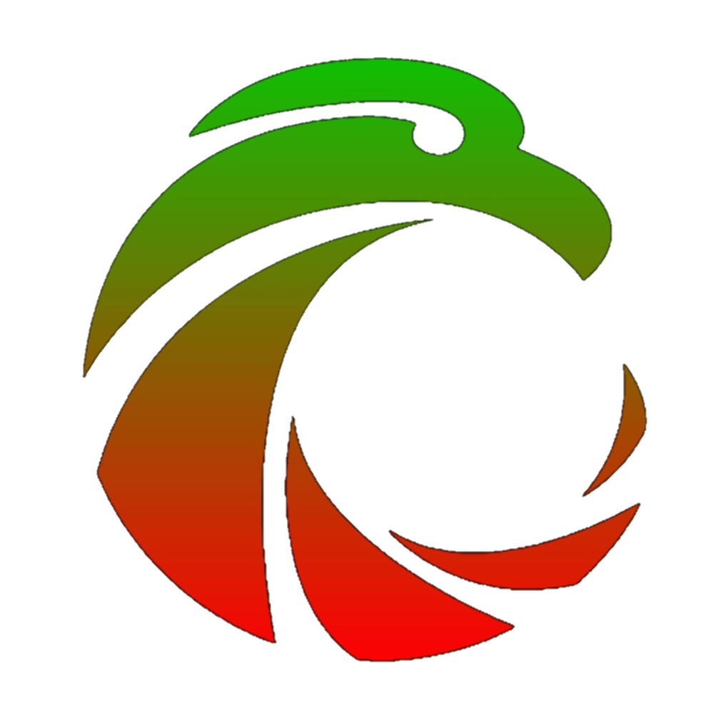 dzfast.com logo