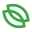 dzirnavnieks.lv icon