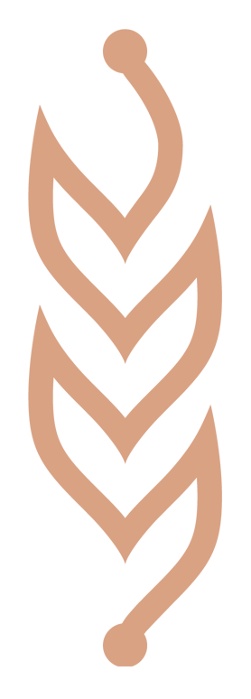 e-afsa.gov.az icon