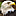 eaglepixel.com icon